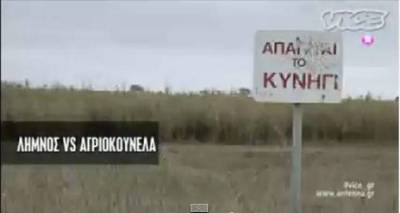 Λήμνος vs Αγριοκούνελα | Ντοκιμαντέρ στον Αντέννα (video)