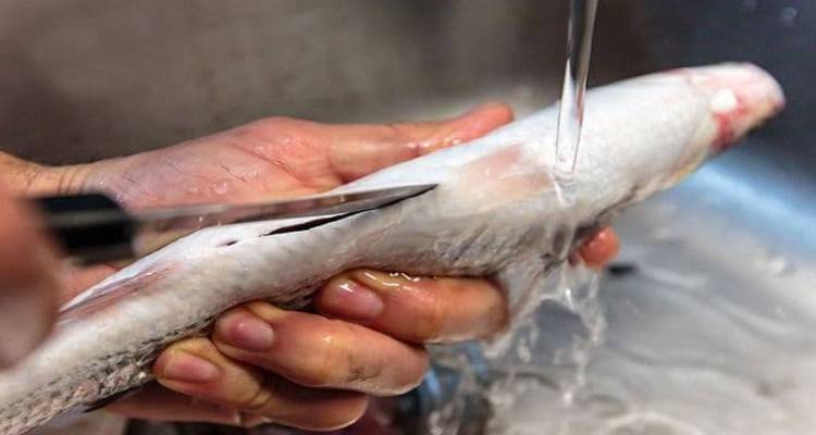 &laquo;&Psi;&alpha;&rho;ί&lambda;&alpha;&raquo; &sigma;&tau;&omicron;&upsilon;&sigmaf; &kappa;ά&delta;&omicron;&upsilon;&sigmaf; &alpha;&pi;&omicron;&rho;&rho;&iota;&mu;&mu;ά&tau;&omega;&nu;