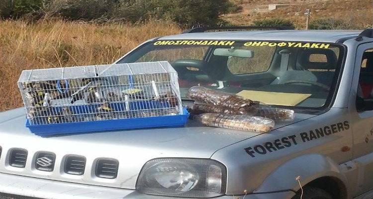 Παράνομη σύλληψη ωδικών πτηνών με ιξούς στη Λήμνο (photos)