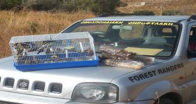 Παράνομη σύλληψη ωδικών πτηνών με ιξούς στη Λήμνο (photos)