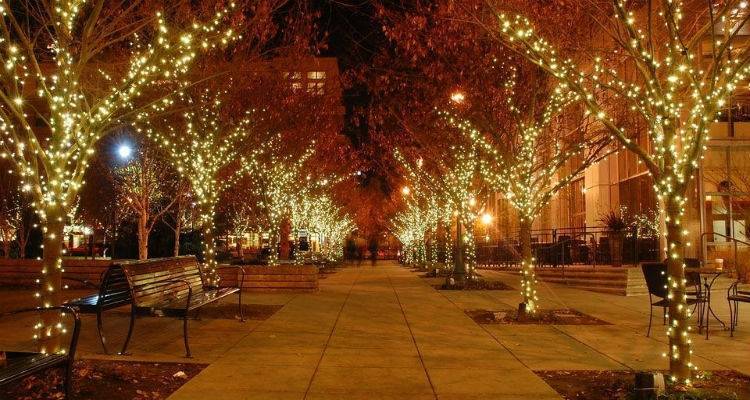 Χριστουγεννιάτικες εκδηλώσεις από τον Πολιτιστικό Σύλλογο Μούδρου