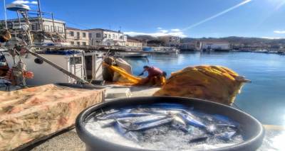 limnos-edo-i-freskia-palamida