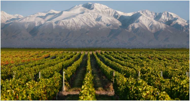 &Phi;&omega;&tau;&omicron;: Market Watch