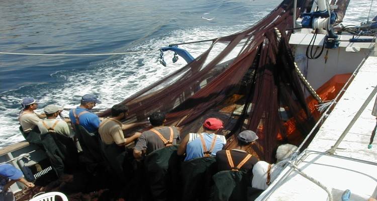 Το φυτοπλαγκτόν παρέλυσε την αλιεία στο Βόρειο Αιγαίο