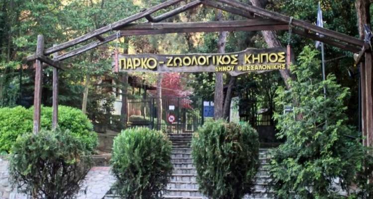 Θεσσαλονίκη: Εντοπίστηκε κρούσμα μελιταίου πυρετού σε κριό σε ζωολογικό κήπο | Μεταδίδεται και σε άνθρωπο