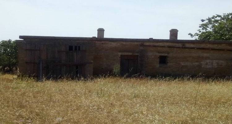 &Sigma;&tau;&omicron; &sigma;&pi;ί&tau;&iota; &tau;&omicron;&upsilon; &Gamma;&iota;ά&nu;&nu;&eta; &Rho;ί&tau;&sigma;&omicron;&upsilon; &sigma;&tau;&eta; &Lambda;ή&mu;&nu;&omicron; &tau;&omicron; STAR &Beta;&omicron;&rho;&epsilon;ί&omicron;&upsilon; &Epsilon;&lambda;&lambda;ά&delta;&omicron;&sigmaf;  (photos)