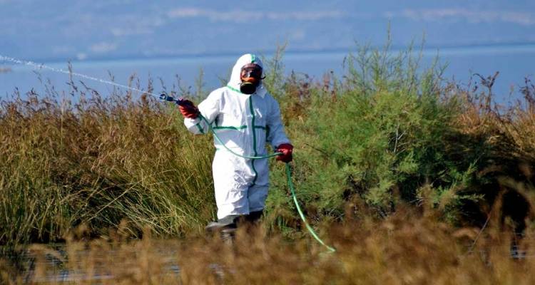 Χωρίς ψεκασμούς για τα κουνούπια η Λήμνος | Αυξάνονται τα παράπονα των κατοίκων
