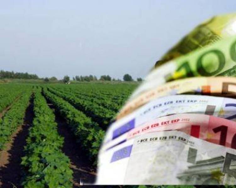 &Upsilon;&pi;&epsilon;&gamma;&rho;ά&phi;&eta; &eta; &alpha;&pi;ό&phi;&alpha;&sigma;&eta; &gamma;&iota;&alpha; &tau;&eta;&nu; &pi;&alpha;&rho;ά&tau;&alpha;&sigma;&eta; &kappa;&alpha;&tau;&alpha;&beta;&omicron;&lambda;ή&sigmaf; &tau;&eta;&sigmaf; &epsilon;&iota;&delta;&iota;&kappa;ή&sigmaf; &alpha;&sigma;&phi;&alpha;&lambda;&iota;&sigma;&tau;&iota;&kappa;ή&sigmaf; &epsilon;&iota;&sigma;&phi;&omicron;&rho;ά&sigmaf; &gamma;&iota;&alpha; &tau;&omicron;&upsilon;&sigmaf; &alpha;&gamma;&rho;ό&tau;&epsilon;&sigmaf;