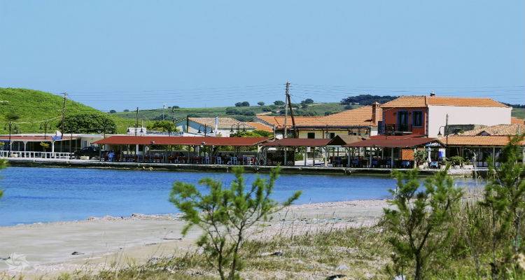 Εθελοντικός καθαρισμός της παραλίας του Κότσινα από τον ΠΑΟ Ρεπανιδίου
