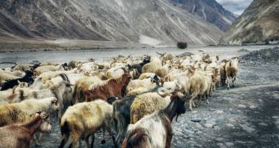 10,2 &epsilon;&kappa;&alpha;&tau;. &epsilon;&upsilon;&rho;ώ &sigma;&tau;&omicron; &Beta;ό&rho;&epsilon;&iota;&omicron; &Alpha;&iota;&gamma;&alpha;ί&omicron; &gamma;&iota;&alpha; &beta;&iota;&omicron;&lambda;&omicron;&gamma;&iota;&kappa;ή &kappa;&tau;&eta;&nu;&omicron;&tau;&rho;&omicron;&phi;ί&alpha;