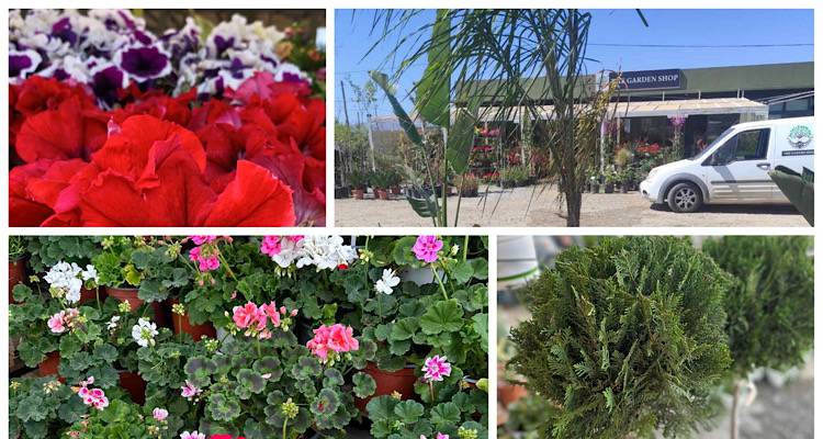 «Ζην Garden Shop” στο Μούδρο | Εκεί που συναντιέται η πανδαισία χρωμάτων και το βασίλειο της ευωδιάς!