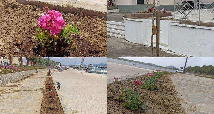 Ν. Κούταλη: Μια ανάσα ομορφιάς σε μια δράση εξωραϊσμού από την κοινότητα και εθελοντές