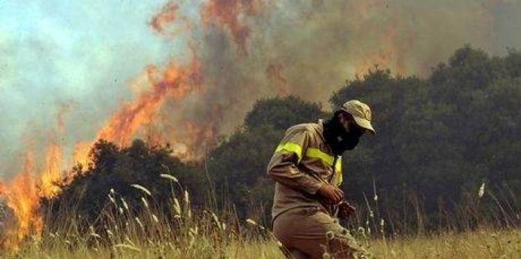 &Rho;ό&delta;&omicron;&sigmaf;, &tau;&omicron; &mu;&epsilon;&gamma;&alpha;&lambda;ύ&tau;&epsilon;&rho;&omicron; &theta;ύ&mu;&alpha; &tau;&omega;&nu; &pi;&upsilon;&rho;&kappa;&alpha;&gamma;&iota;ώ&nu;