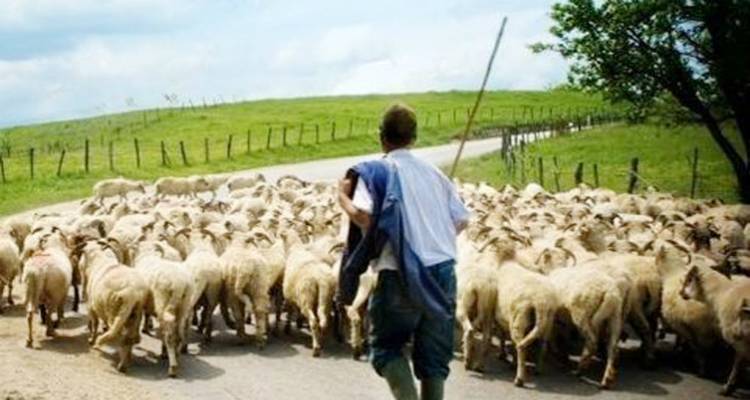 &Lambda;ή&mu;&nu;&omicron;&sigmaf;: &Epsilon;&nu;&eta;&mu;&epsilon;&rho;&omega;&tau;&iota;&kappa;ή &sigma;&upsilon;&nu;ά&nu;&tau;&eta;&sigma;&eta; &kappa;&tau;&eta;&nu;&omicron;&tau;&rho;ό&phi;&omega;&nu; &sigma;&tau;&eta;&nu; &Alpha;&tau;&sigma;&iota;&kappa;ή