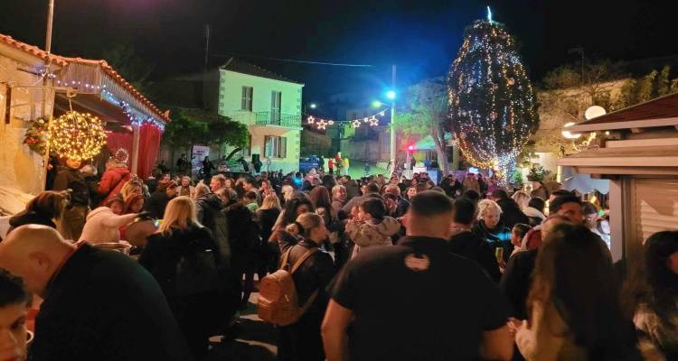 Θάνος: Φωταγωγήθηκε το ψηλότερο φυσικό Χριστουγεννιάτικο δέντρο της Λήμνου (photos)