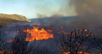 Φωτιά τα ξημερώματα στο Θάνος