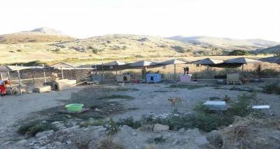 Την παρέμβαση του Εισαγγελέα ζήτησε το Φιλοζωικό Σωματείο Λήμνου