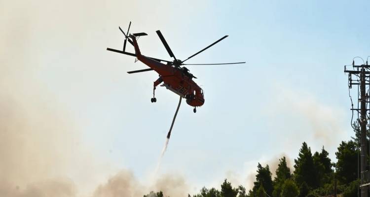 &Phi;&omega;&tau;&iota;ά &sigma;&tau;&omicron;&nu; &Mu;&alpha;&rho;&alpha;&theta;&iota;ά &Zeta;&alpha;&kappa;ύ&nu;&theta;&omicron;&upsilon; -&Sigma;&eta;&kappa;ώ&theta;&eta;&kappa;&alpha;&nu; &epsilon;&nu;&alpha;έ&rho;&iota;&alpha; &mu;έ&sigma;&alpha;, ή&chi;&eta;&sigma;&epsilon; &tau;&omicron; 112