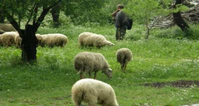 &Epsilon;&upsilon;&lambda;&omicron;&gamma;&iota;ά: &Tau;&eta;&nu; &epsilon;&pi;&alpha;&gamma;&rho;ύ&pi;&nu;&eta;&sigma;&eta; &tau;&omega;&nu; &kappa;&tau;&eta;&nu;&omicron;&tau;&rho;ό&phi;&omega;&nu; &tau;&eta;&sigmaf; &Lambda;ή&mu;&nu;&omicron;&upsilon; &zeta;&eta;&tau;ά &tau;&omicron; &Tau;&mu;ή&mu;&alpha; &Kappa;&tau;&eta;&nu;&iota;&alpha;&tau;&rho;&iota;&kappa;ή&sigmaf;