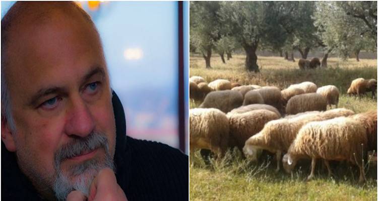 Ο Δημήτρης Μπουλώτης για την παρουσία Ευλογιάς στη Λήμνο | Τι δήλωσε για την απολυμαντική τάφρο στο λιμάνι | ΣΥΝΕΝΤΕΥΞΗ