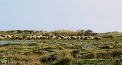 &Xi;&epsilon;&kappa;&iota;&nu;&omicron;ύ&nu; &omicron;&iota; &pi;&rho;&omicron;&sigma;&pi;ά&theta;&epsilon;&iota;&epsilon;&sigmaf; &kappa;&alpha;&tau;&omicron;&chi;ύ&rho;&omega;&sigma;&eta;&sigmaf; &tau;&eta;&sigmaf; &phi;&upsilon;&lambda;ή&sigmaf; &tau;&omicron;&upsilon; &Lambda;&eta;&mu;&nu;&iota;&omicron;ύ &pi;&rho;&omicron;&beta;ά&tau;&omicron;&upsilon;