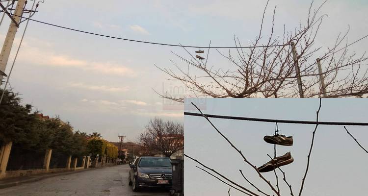 &Lambda;ή&mu;&nu;&omicron;&sigmaf;: &Kappa;&rho;έ&mu;&alpha;&sigma;&alpha;&nu; &tau;&alpha; &pi;&alpha;&pi;&omicron;ύ&tau;&sigma;&iota;&alpha; &tau;&omicron;&upsilon;&sigmaf; &sigma;&tau;&alpha; &kappa;&alpha;&lambda;ώ&delta;&iota;&alpha; &tau;&eta;&sigmaf; &Delta;&Epsilon;&Eta; (photos)