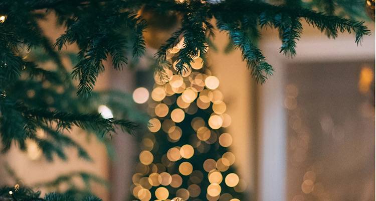 &Lambda;ή&mu;&nu;&omicron;&sigmaf;: &Phi;&omega;&tau;&alpha;&gamma;&omega;&gamma;&epsilon;ί&tau;&alpha;&iota; &tau;&omicron; &Sigma;ά&beta;&beta;&alpha;&tau;&omicron; 3/12 &tau;&omicron; &chi;&rho;&iota;&sigma;&tau;&omicron;&upsilon;&gamma;&epsilon;&nu;&nu;&iota;ά&tau;&iota;&kappa;&omicron; &delta;έ&nu;&tau;&rho;&omicron; &tau;&omicron;&upsilon; &Beta;ά&rho;&omicron;&upsilon;&sigmaf;