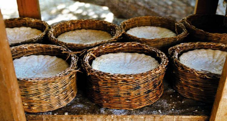 Το καλαθάκι Λήμνου και άλλα 11 πεντανόστιμα ελληνικά τυριά στο μικροσκόπιο