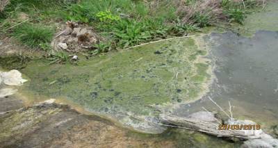 &Tau;&omicron; &Sigma;&Upsilon;&Mu;.&Pi;.&Alpha;&Nu; &gamma;&iota;&alpha; &tau;&alpha; &beta;&omicron;&theta;&rho;&omicron;&lambda;ύ&mu;&alpha;&tau;&alpha; &kappa;&alpha;&iota; &tau;&eta; &delta;ί&kappa;&eta; &tau;&omicron;&upsilon; &Delta;&eta;&mu;ά&rho;&chi;&omicron;&upsilon;