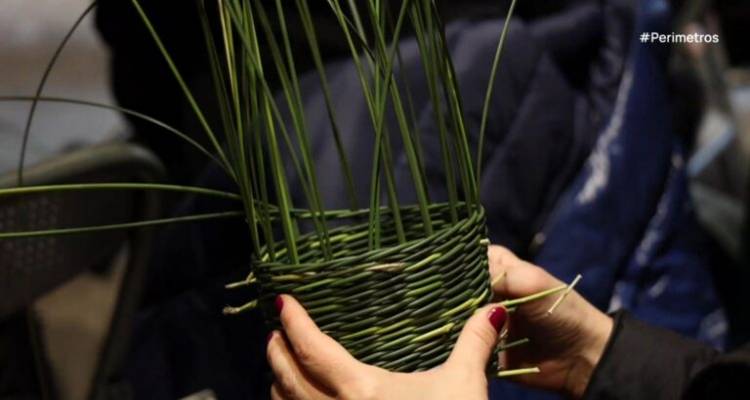 Λήμνος: Συνεχίζεται η παράδοση του πλεξίματος των τυροβολιών