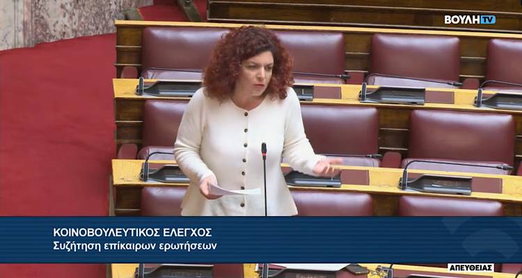 &Mu;&alpha;&rho;ί&alpha; &Kappa;&omicron;&mu;&nu;&eta;&nu;ά&kappa;&alpha; &sigma;&tau;&eta; &Beta;&omicron;&upsilon;&lambda;ή: &laquo;&Omicron;&iota; &kappa;ά&tau;&omicron;&iota;&kappa;&omicron;&iota; &tau;&eta;&sigmaf; &Lambda;ή&mu;&nu;&omicron;&upsilon; &tau;&omicron;&nu; &chi;&epsilon;&iota;&mu;ώ&nu;&alpha; &pi;&nu;ί&gamma;&omicron;&nu;&tau;&alpha;&iota; &kappa;&alpha;&iota; &tau;&omicron; &kappa;&alpha;&lambda;&omicron;&kappa;&alpha;ί&rho;&iota; &delta;&epsilon;&nu; έ&chi;&omicron;&upsilon;&nu; &nu;&epsilon;&rho;ό&raquo;
