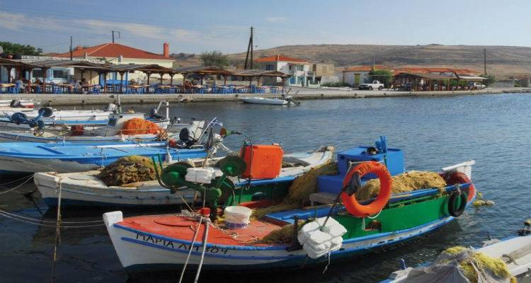 ΣΥΡΙΖΑ Λήμνου: “Ο μειωμένος ΦΠΑ στα νησιά δεν είναι προνόμιο. Όχι στην κατάργησή  του.”