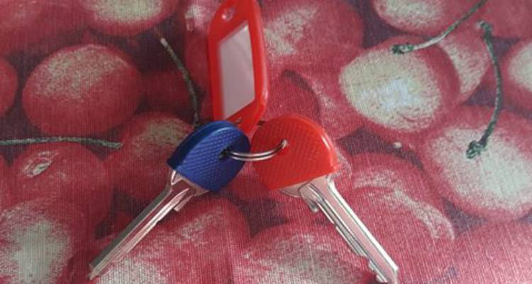 &Chi;ά&theta;&eta;&kappa;&alpha;&nu; &kappa;&lambda;&epsilon;&iota;&delta;&iota;ά &sigma;&tau;&eta;&nu; &alpha;&gamma;&omicron;&rho;ά &tau;&eta;&sigmaf; &Mu;ύ&rho;&iota;&nu;&alpha;&sigmaf;