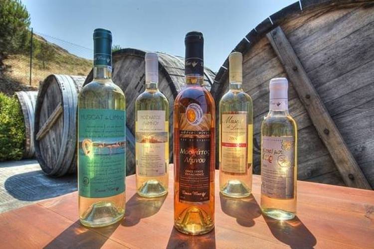 Τα αποτελέσματα των πρώτων εκλογών της  νέας Ένωσης Λήμνου  (mp3)