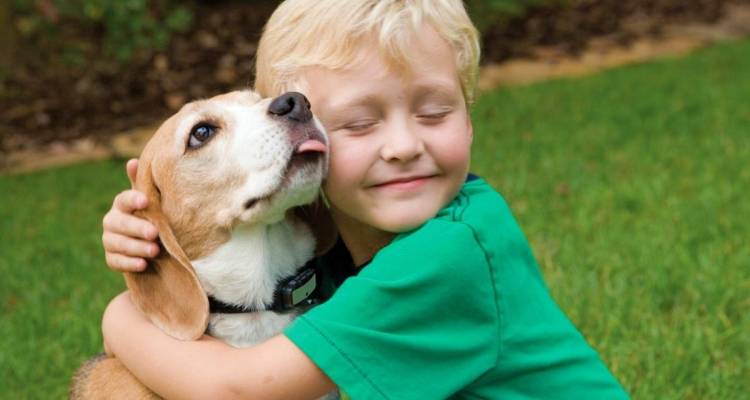 &Sigma;&pi;&omicron;&upsilon;&delta;&alpha;ί&alpha; &nu;έ&alpha;: &Sigma;&tau;&eta; &Lambda;ή&mu;&nu;&omicron; &tau;&eta;&nu; &Kappa;&upsilon;&rho;&iota;&alpha;&kappa;ή &omicron; &sigma;&kappa;ύ&lambda;&omicron;&sigmaf; - &sigma;ύ&nu;&tau;&rho;&omicron;&phi;&omicron;&sigmaf; &gamma;&iota;&alpha; &tau;&eta; &mu;&iota;&kappa;&rho;ή &pi;&omicron;&upsilon; &sigma;&tau;&eta;&rho;ί&chi;&theta;&eta;&kappa;&epsilon; &mu;έ&sigma;&alpha; &alpha;&pi;ό &tau;&omicron; &laquo;&Mu;&pi;&alpha;&zeta;ά&rho; &Alpha;&gamma;ά&pi;&eta;&sigmaf;&raquo;