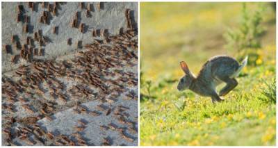 &Nu;&alpha; &laquo;&tau;&rho;έ&xi;&epsilon;&iota;&raquo; &tau;&iota;&sigmaf; &upsilon;&pi;&omicron;&theta;έ&sigma;&epsilon;&iota;&sigmaf; &tau;&eta;&sigmaf; &Lambda;ή&mu;&nu;&omicron;&upsilon; &kappa;&alpha;&iota; &tau;&omicron;&upsilon; &Alpha;&gamma;. &Epsilon;&upsilon;&sigma;&tau;&rho;&alpha;&tau;ί&omicron;&upsilon; &zeta;ή&tau;&eta;&sigma;&epsilon; &alpha;&pi;ό &tau;&omicron;&nu; &Upsilon;&pi;. &Alpha;&gamma;&rho;&omicron;&tau;&iota;&kappa;ή&sigmaf; &Alpha;&nu;ά&pi;&tau;&upsilon;&xi;&eta;&sigmaf; &omicron; &Gamma;. &Pi;ά&lambda;&lambda;&eta;&sigmaf;