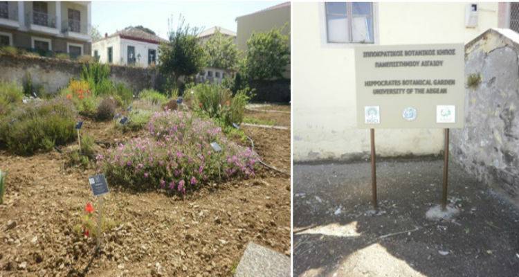 &Alpha;&nu;&omicron;ί&xi;&epsilon; &tau;&iota;&sigmaf; &pi;ύ&lambda;&epsilon;&sigmaf; &tau;&omicron;&upsilon; &gamma;&iota;&alpha; &tau;&omicron; &kappa;&omicron;&iota;&nu;ό &tau;&eta;&sigmaf; &Lambda;ή&mu;&nu;&omicron;&upsilon; &omicron; &Beta;&omicron;&tau;&alpha;&nu;&iota;&kappa;ό&sigmaf; &Kappa;ή&pi;&omicron;&sigmaf; | 160 &phi;&upsilon;&tau;ά &pi;&epsilon;&rho;&iota;&mu;έ&nu;&omicron;&upsilon;&nu; &nu;&alpha; &tau;&alpha; &gamma;&nu;&omega;&rho;ί&sigma;&epsilon;&tau;&epsilon;