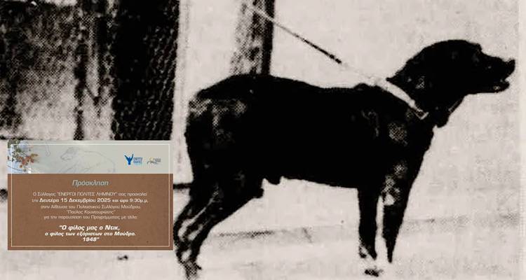 &laquo;&Omicron;&iota; &Epsilon;&nu;&epsilon;&rho;&gamma;&omicron;ί &Pi;&omicron;&lambda;ί&tau;&epsilon;&sigmaf; &zeta;&omega;&nu;&tau;&alpha;&nu;&epsilon;ύ&omicron;&upsilon;&nu; &tau;&eta;&nu; &iota;&sigma;&tau;&omicron;&rho;ί&alpha; &tau;&omicron;&upsilon; &Nu;&tau;&iota;&kappa;, &tau;&omicron;&upsilon; &sigma;&kappa;ύ&lambda;&omicron;&upsilon; &tau;&omega;&nu; &epsilon;&xi;ό&rho;&iota;&sigma;&tau;&omega;&nu; &sigma;&tau;&omicron; &Mu;&omicron;ύ&delta;&rho;&omicron;&raquo;