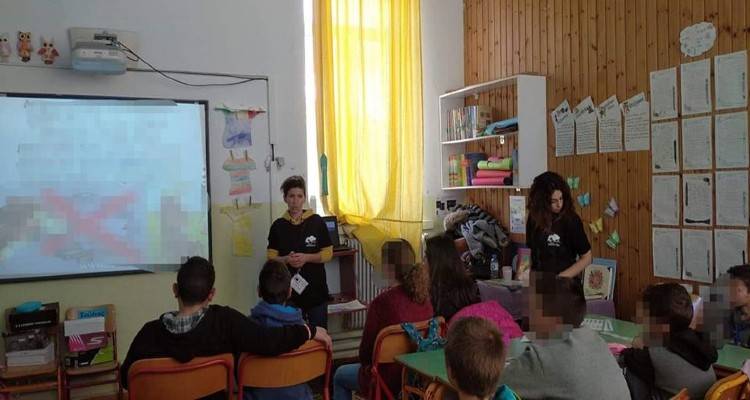 Λήμνος: «Ζωο…φιλώντας μαθήματα άδολης αγάπης!» | Πρόσκληση συνεργασίας