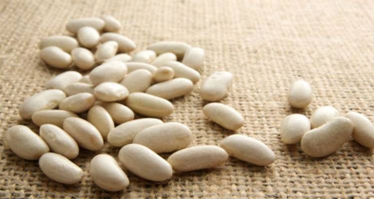 Άνοιξε ο δρόμος για την κατοχύρωση του ασπρομύτικου φασολιού Λήμνου ως ΠΟΠ προϊόν