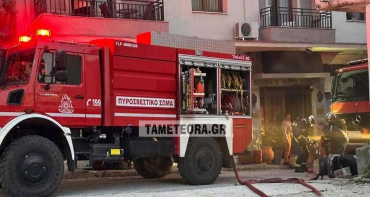 &Phi;&omega;&tau;&iota;ά &sigma;&epsilon; &xi;&epsilon;&nu;&omicron;&delta;&omicron;&chi;&epsilon;ί&omicron; &sigma;&tau;&eta;&nu; &Kappa;&alpha;&lambda;&alpha;&mu;&pi;ά&kappa;&alpha; | &Alpha;&pi;&epsilon;&gamma;&kappa;&lambda;&omega;&beta;ί&zeta;&omicron;&nu;&tau;&alpha;&iota; έ&nu;&omicron;&iota;&kappa;&omicron;&iota;