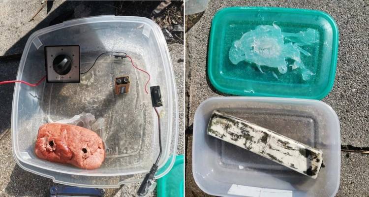 &Pi;&omicron;&iota;&omicron;&upsilon;&sigmaf; &beta;&lambda;έ&pi;&epsilon;&iota; &eta; &Epsilon;&Lambda;.&Alpha;&Sigma;. &pi;ί&sigma;&omega; &alpha;&pi;ό &tau;&eta; &beta;ό&mu;&beta;&alpha; &sigma;&tau;&alpha; &Mu;&Alpha;&Tau; | &Phi;ό&beta;&omicron;&iota; &gamma;&iota;&alpha; &nu;έ&omicron; &chi;&tau;ύ&pi;&eta;&mu;&alpha;, &alpha;&upsilon;&xi;&eta;&mu;έ&nu;&alpha; &mu;έ&tau;&rho;&alpha; &sigma;&epsilon; &pi;&iota;&theta;&alpha;&nu;&omicron;ύ&sigmaf; &sigma;&tau;ό&chi;&omicron;&upsilon;&sigmaf;