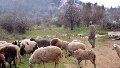 &Epsilon;&xi;&alpha;&pi;&lambda;ώ&nu;&epsilon;&tau;&alpha;&iota; &epsilon;&pi;&iota;&kappa;ί&nu;&delta;&upsilon;&nu;&alpha; &omicron; &kappa;&alpha;&tau;&alpha;&rho;&rho;&omicron;ϊ&kappa;ό&sigmaf; &pi;&upsilon;&rho;&epsilon;&tau;ό&sigmaf; &tau;&omega;&nu; &pi;&rho;&omicron;&beta;ά&tau;&omega;&nu; &sigma;&tau;&eta;&nu; &Epsilon;&lambda;&lambda;ά&delta;&alpha; &sigma;ύ&mu;&phi;&omega;&nu;&alpha; &mu;&epsilon; &kappa;&tau;&eta;&nu;&omicron;&tau;&rho;ό&phi;&omicron;&upsilon;&sigmaf;