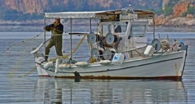 &Gamma;. &Mu;&pi;&omicron;&upsilon;&rho;&nu;&omicron;ύ&sigmaf;: Ά&mu;&epsilon;&sigma;&eta; &sigma;&tau;ή&rho;&iota;&xi;&eta; &tau;&eta;&sigmaf; &nu;&eta;&sigma;&iota;&omega;&tau;&iota;&kappa;ή&sigmaf; &alpha;&lambda;&iota;&epsilon;ί&alpha;&sigmaf; &pi;&rho;&iota;&nu; &nu;&alpha; &epsilon;ί&nu;&alpha;&iota; &pi;&omicron;&lambda;ύ &alpha;&rho;&gamma;ά.