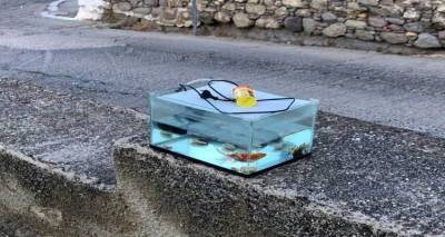 Λήμνος: Εγκατέλειψαν στο δρόμο χρυσόψαρα(;;;)
