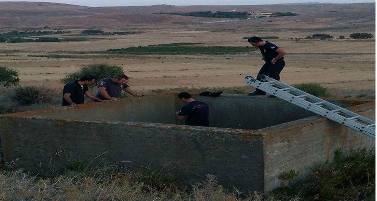 &Epsilon;&pi;&iota;&chi;&epsilon;ί&rho;&eta;&sigma;&eta; &delta;&iota;ά&sigma;&omega;&sigma;&eta;&sigmaf; &sigma;&kappa;&upsilon;&lambda;&iota;ώ&nu; &sigma;&tau;&eta; &Lambda;ή&mu;&nu;&omicron; (photos)