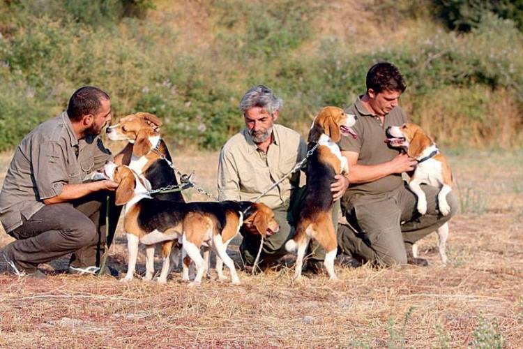 Ημερίδα Κυνοφιλίας στη Λήμνο με θέμα  «Καθαρόαιμα εκτροφή και εκπαίδευση»
