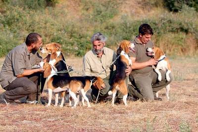 Ημερίδα Κυνοφιλίας στη Λήμνο με θέμα  «Καθαρόαιμα εκτροφή και εκπαίδευση»