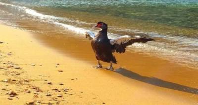 Φωτο: Ράνια Γιαλούρη