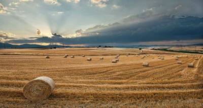 Διενέργεια δημοπρασίας για την εκμίσθωση αγρών του Δήμου Λήμνου